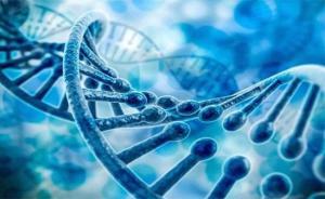 銳翌生物獲近億元A輪融資，魯信創投領投加速生物研發新突破